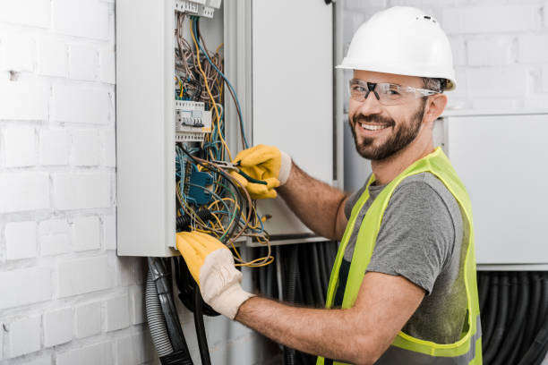 Best Electric Panel Repair  in Belle Chasse, LA